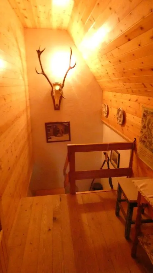 Vjeverica Villa Bribir  Croatia